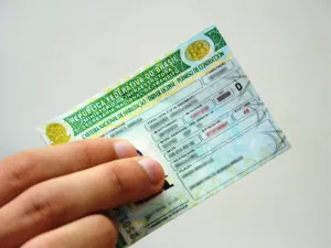Divulgação
